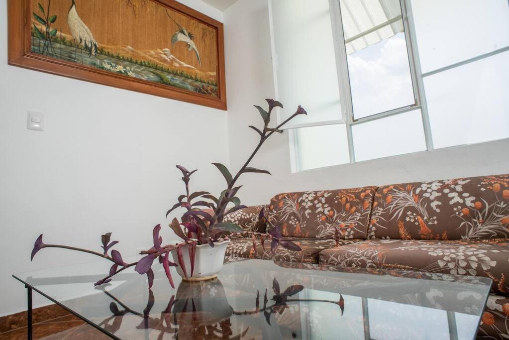 Casa Completa En El Centro De San Miguel De Allende Zewnętrze zdjęcie